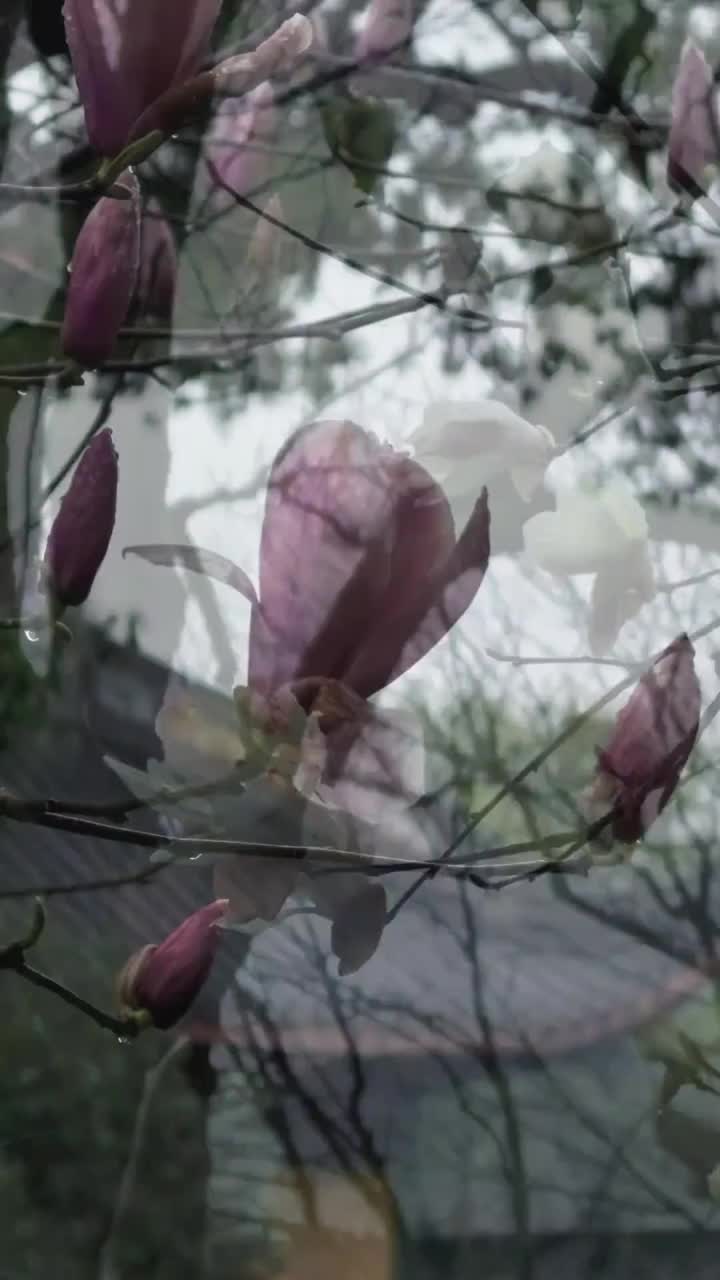 灵隐寺不仅仅是一座宗教圣地，一座艺术的殿堂，更是一种信仰，一种对美好生活的向往和追求#来杭州一定要来一趟灵隐寺