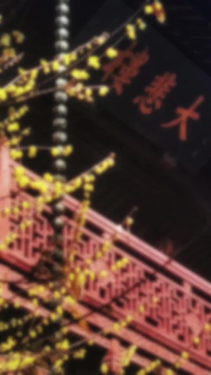 灵隐寺不仅仅是一座宗教圣地，一座艺术的殿堂，更是一种信仰，一种对美好生活的向往和追求#来杭州一定要来一趟灵隐寺