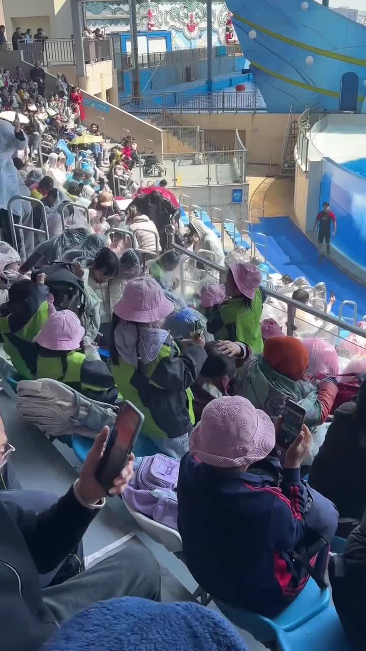 新年还不知道去哪里玩就来上海海昌海洋公园吧#上海海昌海洋公园