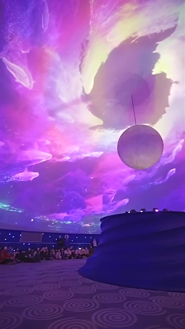 新年还不知道去哪里玩就来上海海昌海洋公园吧#上海海昌海洋公园