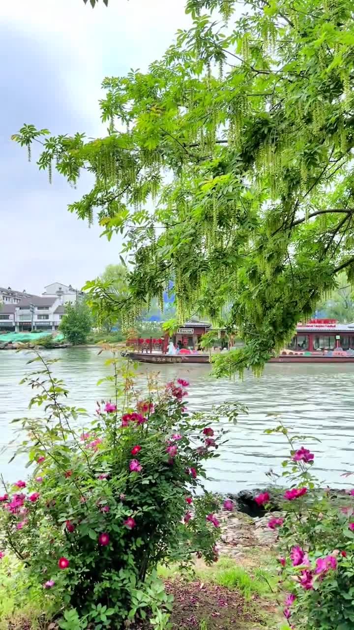 夏天到了，运河水一下变得浑黄起来，他好像一匹烦躁脱缰的野马，向前狂奔。#苏州古运河#自联盟