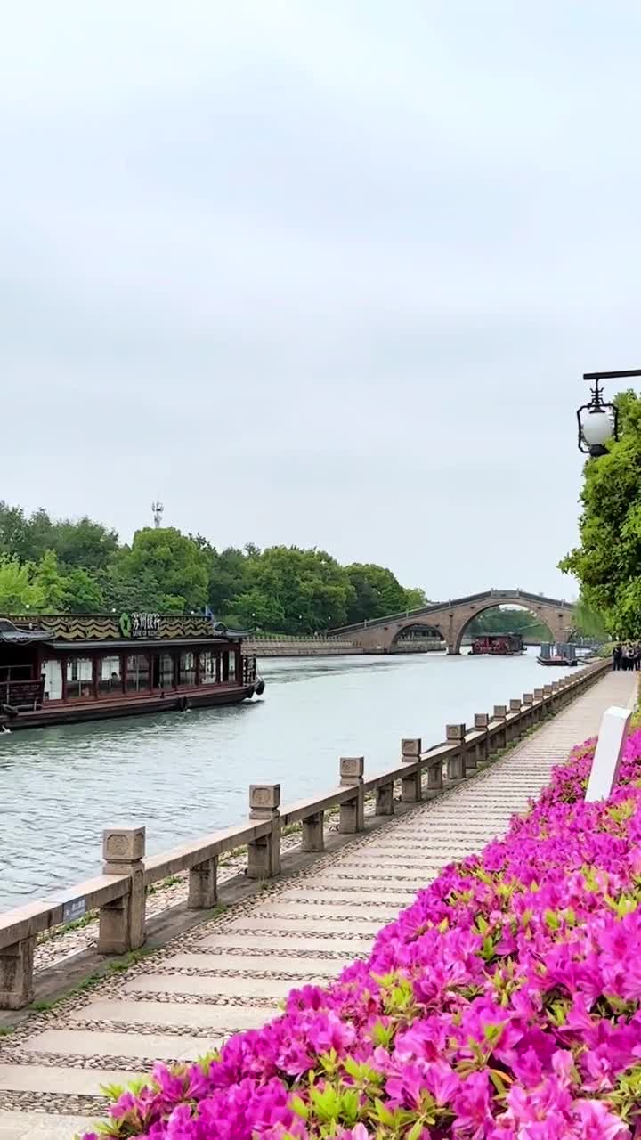 运河是华夏的飞巨龙，它日行千里注入浩浩的东海。#苏州古运河#自联盟