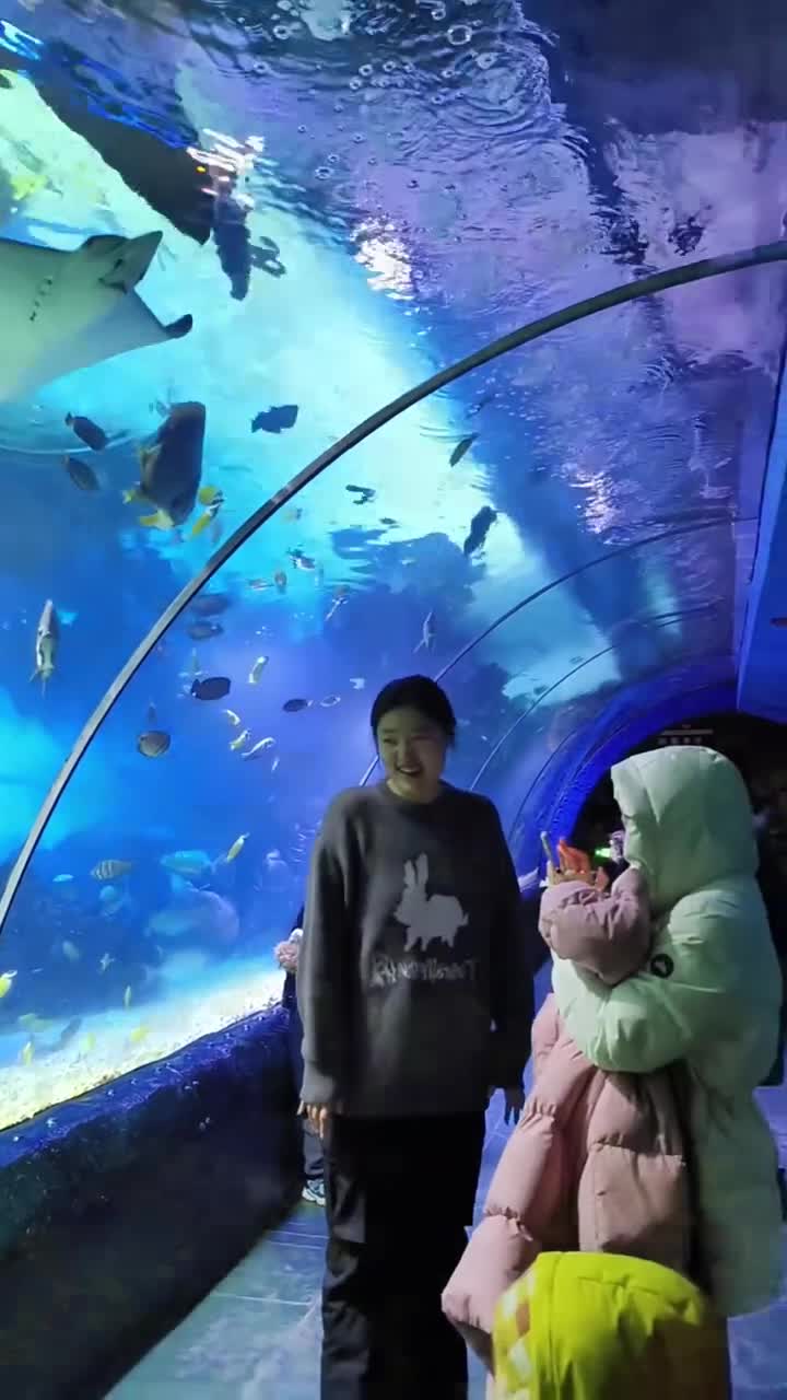 大连老虎滩海洋公园公园是一个神奇而美丽的地方，它让人们仿佛置身于一个完全不同的世界中。这里有蔚蓝的海水，五彩斑斓的珊瑚，还有各种各样的海洋生物。在这里，人们可以近距离地观察到大海的奇迹，感受自然的力量和美好。#大连老虎滩海洋公园