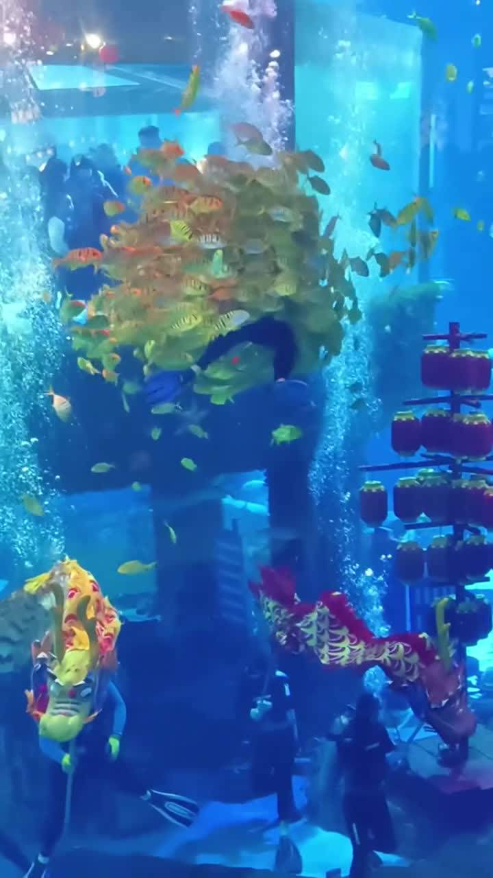 来大连老虎滩海洋公园，感受海洋的奇妙，漫步海岸线，探索动物世界，体验浪漫之旅。我们在5A级景区等你，每年吸引着无数游客畅享其中。 在这里欢迎大家来到国家AAAAA级景区、同时也是全国最大的现代化海滨探秘游乐场-大连老虎滩海洋公园旅游。 #大连老虎滩海洋公园