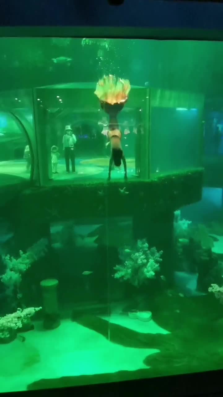波光粼粼，水天一色。大连老虎滩海洋公园，一个来了还想来，来了不想走地方。#大连老虎滩海洋公园