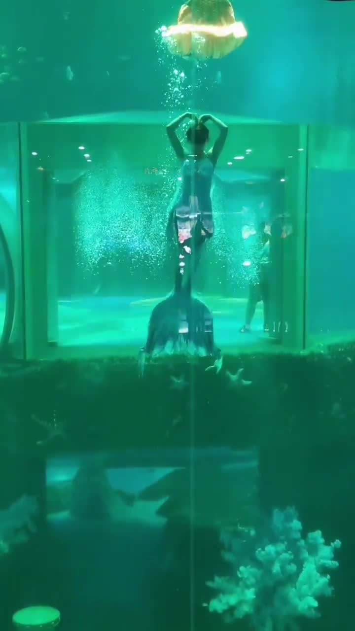 大连老虎滩海洋公园是一个让人心旷神怡的地方，它让人们感受到大自然的魅力与力量。它不仅仅是一个旅游景点，更是一个教育基地，让人们了解到海洋的重要性。如果你想逃离喧嚣的城市，放松自己的身心，海洋公园绝对是一个不错的选择。#大连老虎滩海洋公园