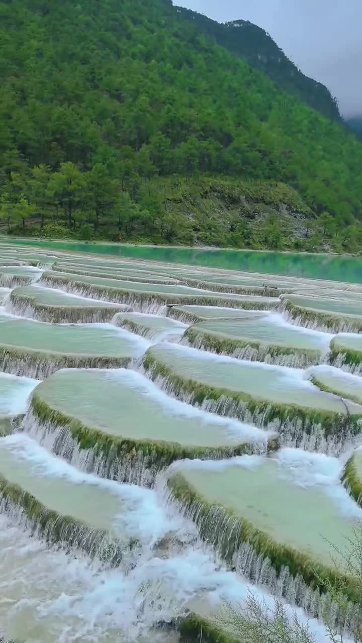 在玉龙雪山脚下，我看到了美丽的风景。周围的山的云，它是如此美丽！云层里的山白得像奶油。山下的树很壮。附近的草是黄色的，只有少数是绿色的。#玉龙雪山